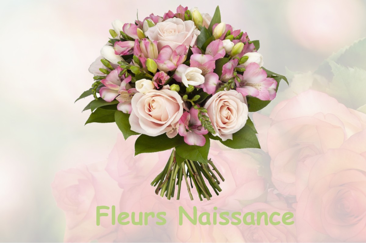 fleurs naissance COULOMBY